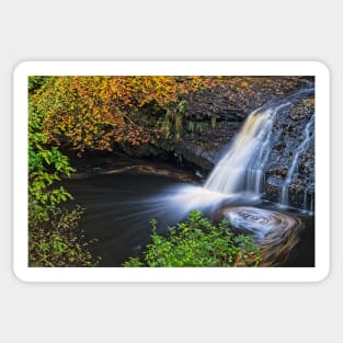 Hamsterley Forest Waterfall Sticker